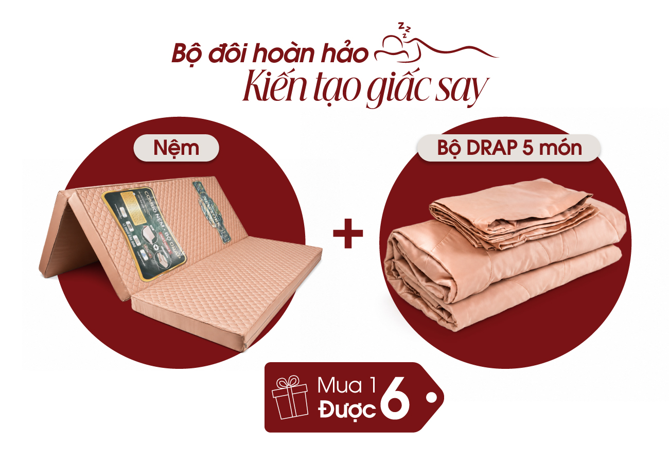 Nệm cặp đôi bông ép S'BED FIBER NEWYORK/TEXAS, Vải tencel 1 màu 